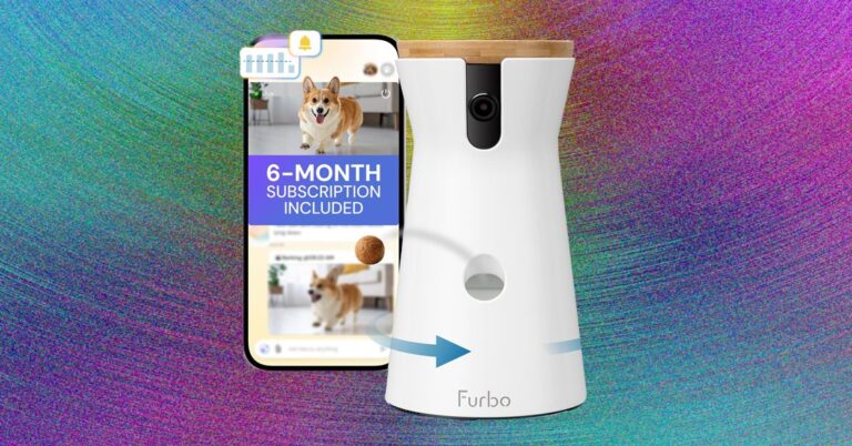 Pet20Cameras20Update2010202620top20art20SOURCE20Amazon.jpg