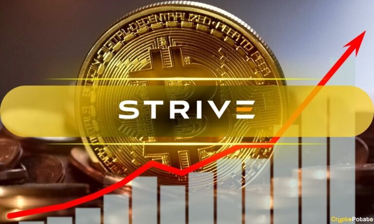 Strive_Cover.jpg