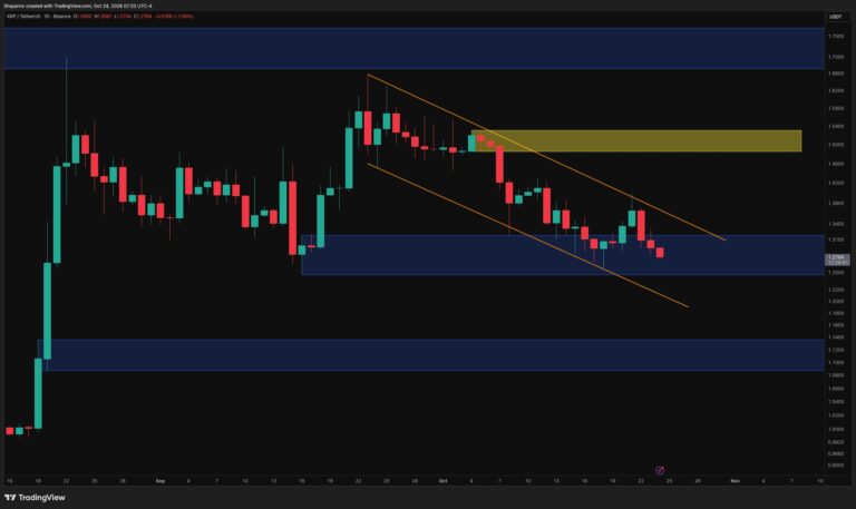 XRP-D-7.jpg