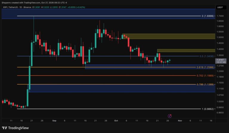 XRP-D-8-scaled.jpg