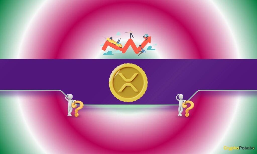 XRP_CB-11.jpg