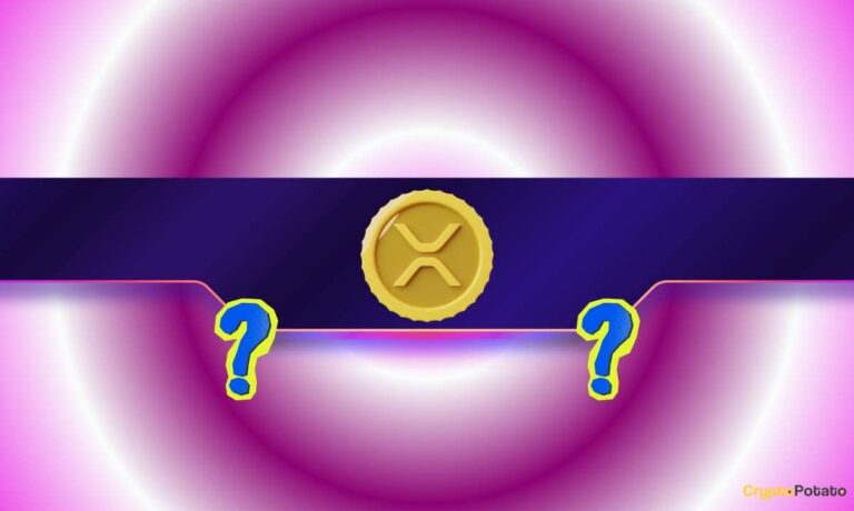 XRP_CB-12.jpg
