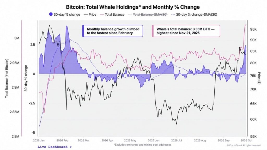 btc-whale-chart.jpg