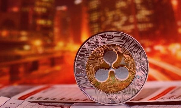 ripple_bear_red-min.jpg