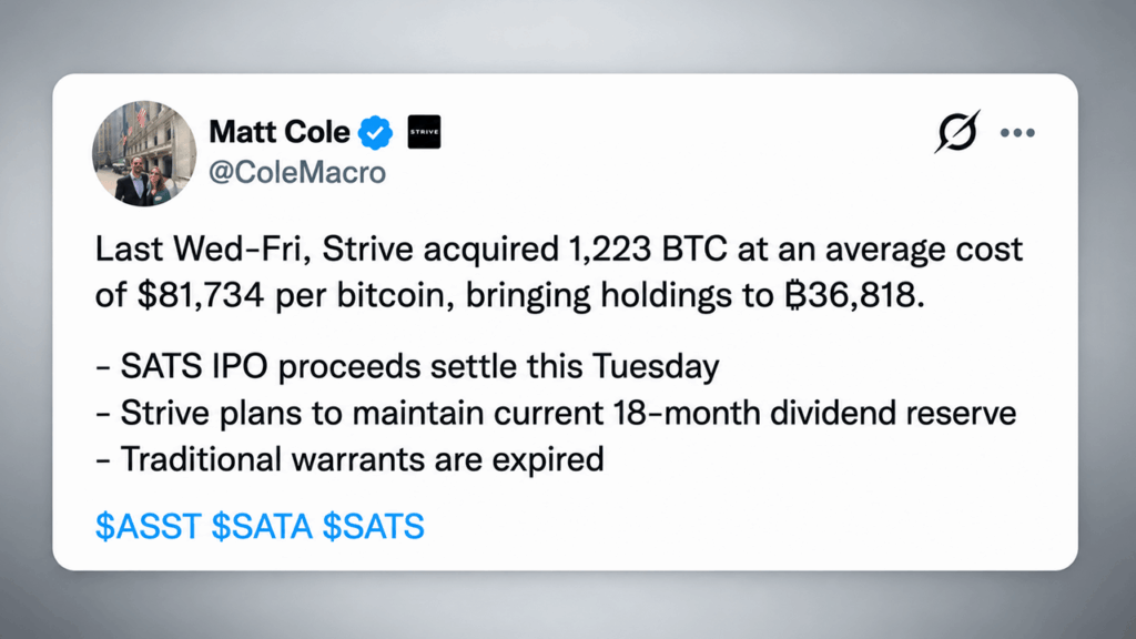 strive-adds-1223-btc-while-preparing-a-630-million-cash-raise.png
