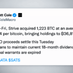 strive-adds-1223-btc-while-preparing-a-630-million-cash-raise.png