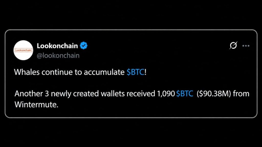 whales-accumulate-bitcoin.jpg